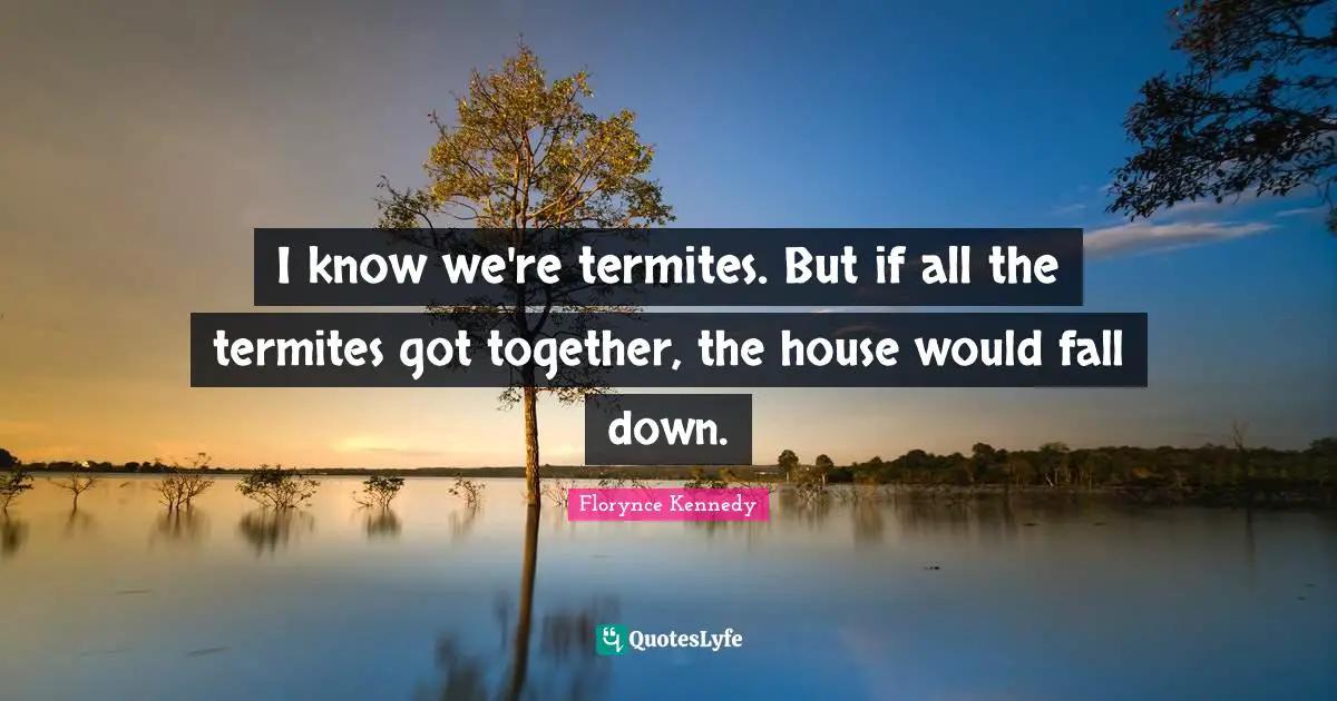 I know we're termites. But if all the termites got together, the house would fall down.
