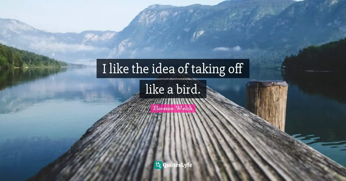 I like the idea of taking off like a bird.