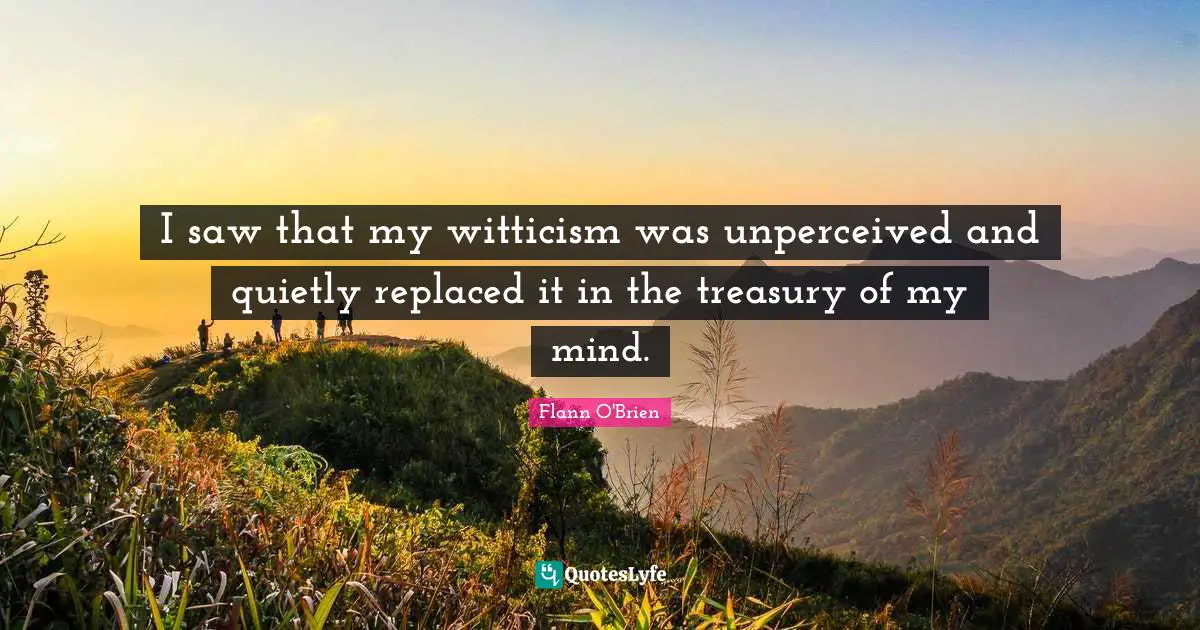 I saw that my witticism was unperceived and quietly replaced it in the treasury of my mind.