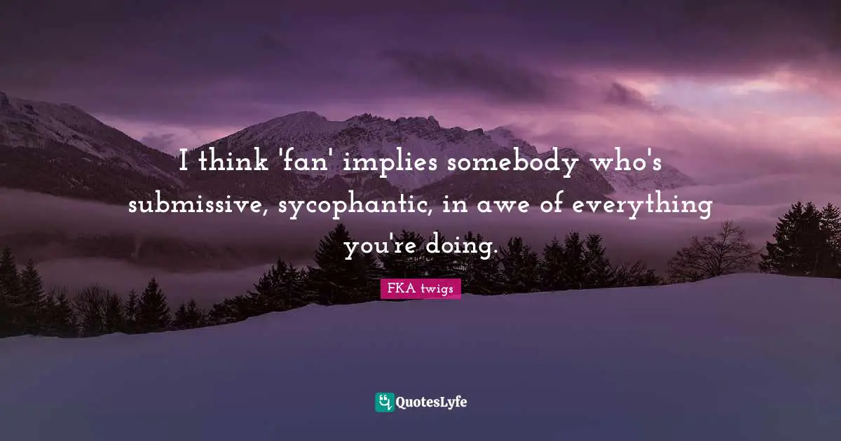 I think 'fan' implies somebody who's submissive, sycophantic, in awe of everything you're doing.