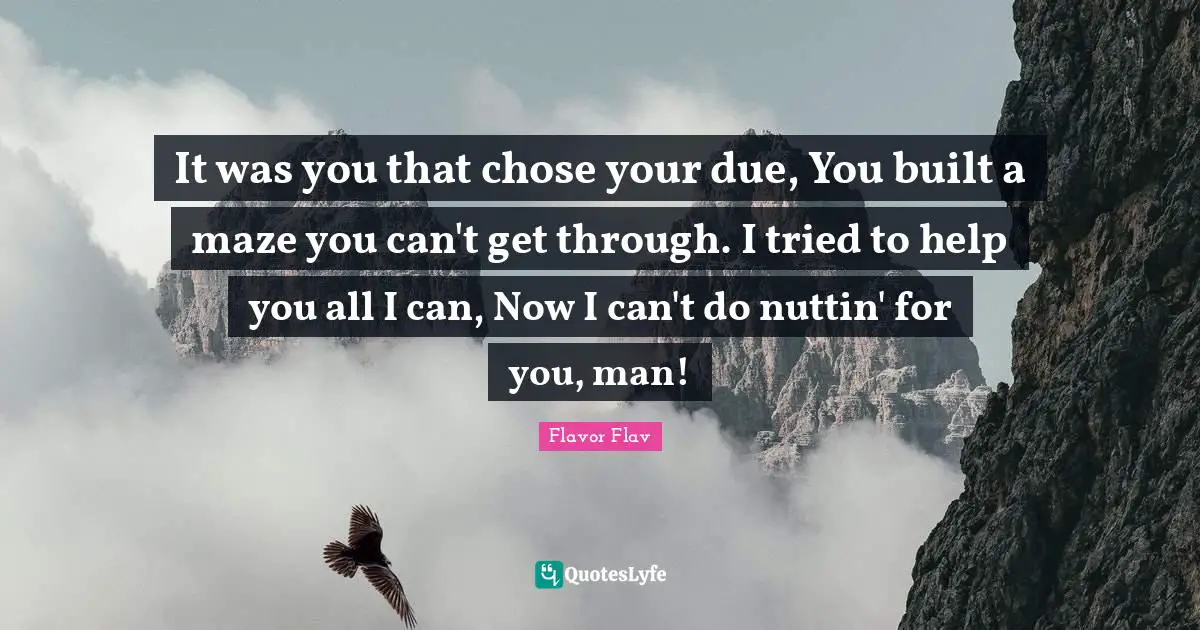 Flavor Flav Quotes: "It was you that chose your due, You built a maze you can't get through. I tried to help you all I can, Now I can't do nuttin' for you, man!"