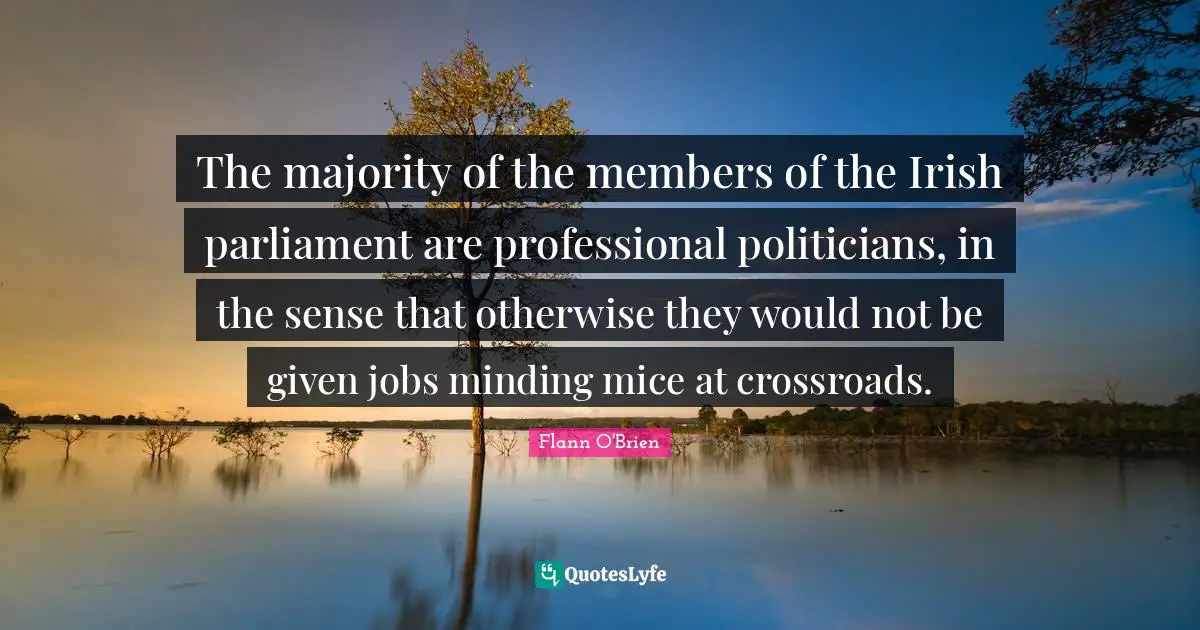 The majority of the members of the Irish parliament are professional politicians, in the sense that otherwise they would not be given jobs minding mice at crossroads.