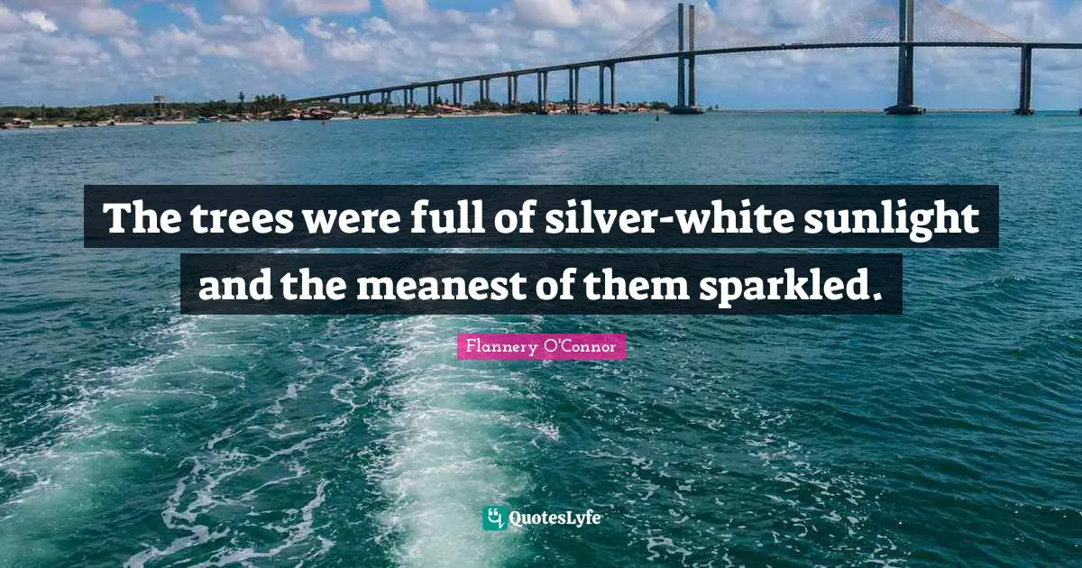 The trees were full of silver-white sunlight and the meanest of them sparkled.