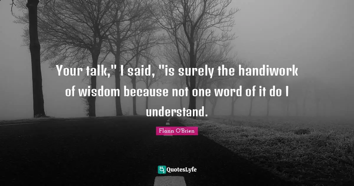 Your talk," I said, "is surely the handiwork of wisdom because not one word of it do I understand.
