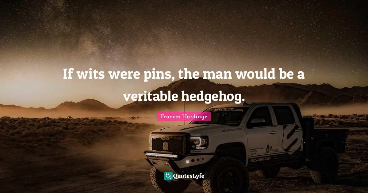 If wits were pins, the man would be a veritable hedgehog.