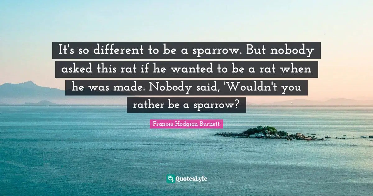 It's so different to be a sparrow. But nobody asked this rat if he wanted to be a rat when he was made. Nobody said, 'Wouldn't you rather be a sparrow?