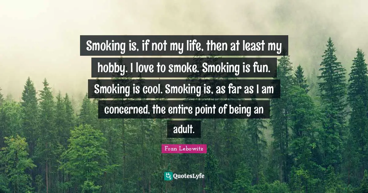 Smoking is, if not my life, then at least my hobby. I love to smoke. Smoking is fun. Smoking is cool. Smoking is, as far as I am concerned, the entire point of being an adult.