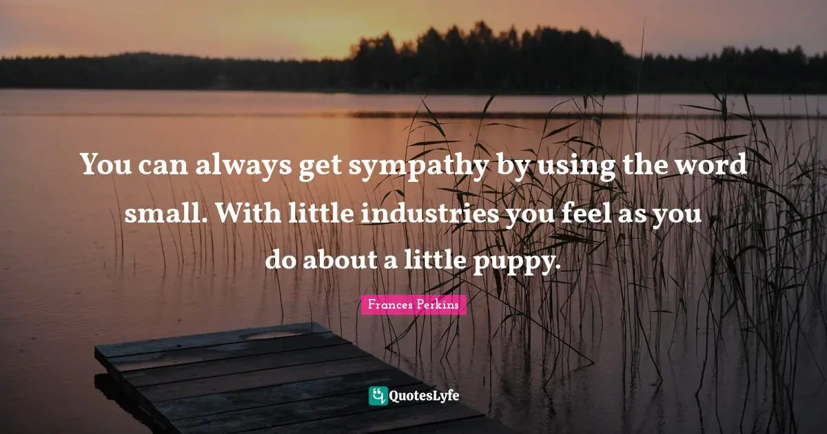 Frances Perkins Quotes: You can always get sympathy by using the word small. With little industries you feel as you do about a little puppy.