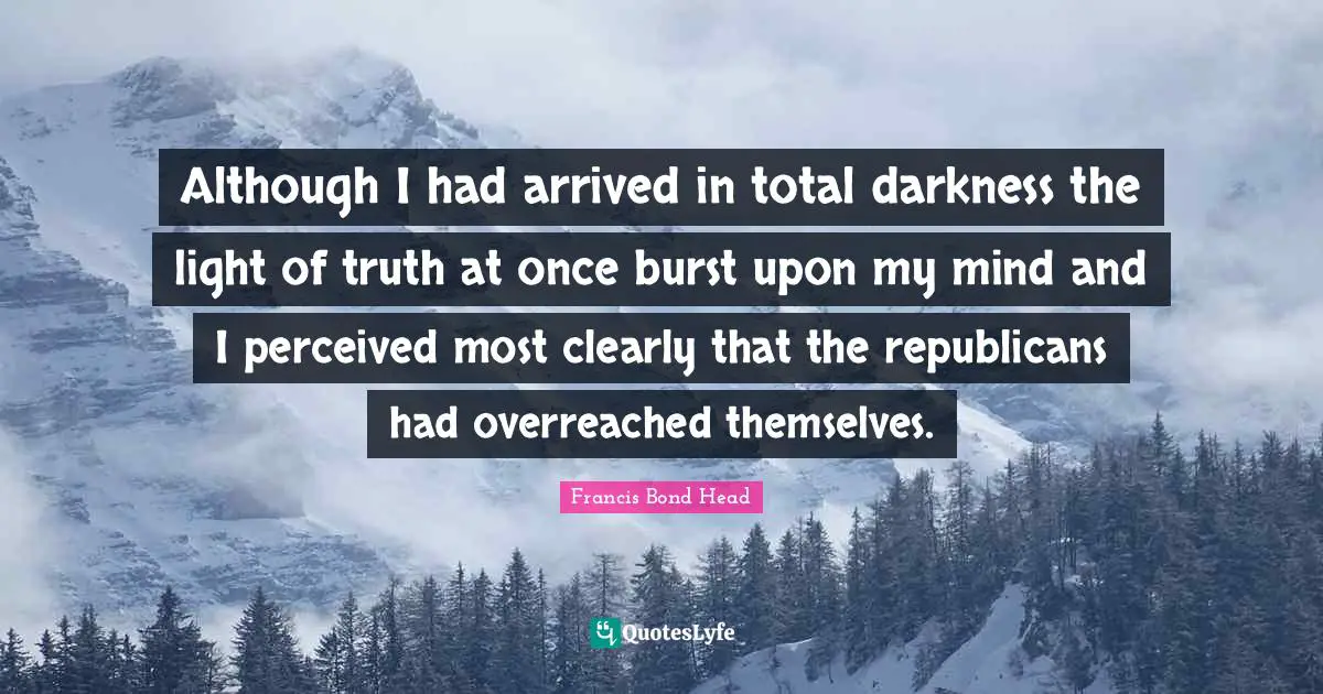 Although I had arrived in total darkness the light of truth at once burst upon my mind and I perceived most clearly that the republicans had overreached themselves.