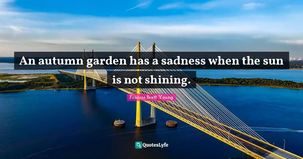 An autumn garden has a sadness when the sun is not shining.