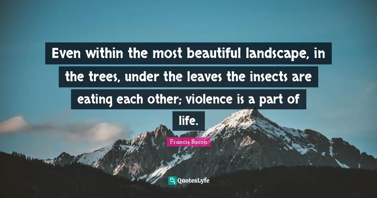 Even within the most beautiful landscape, in the trees, under the leaves the insects are eating each other; violence is a part of life.