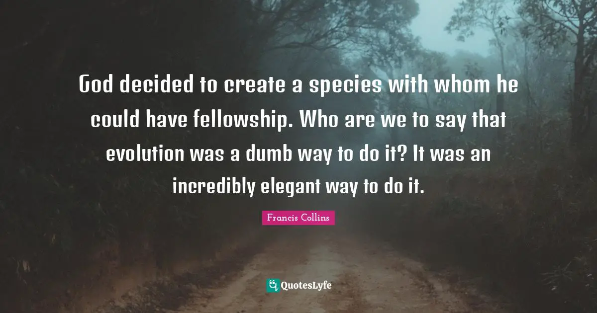 God decided to create a species with whom he could have fellowship. Who are we to say that evolution was a dumb way to do it? It was an incredibly elegant way to do it.
