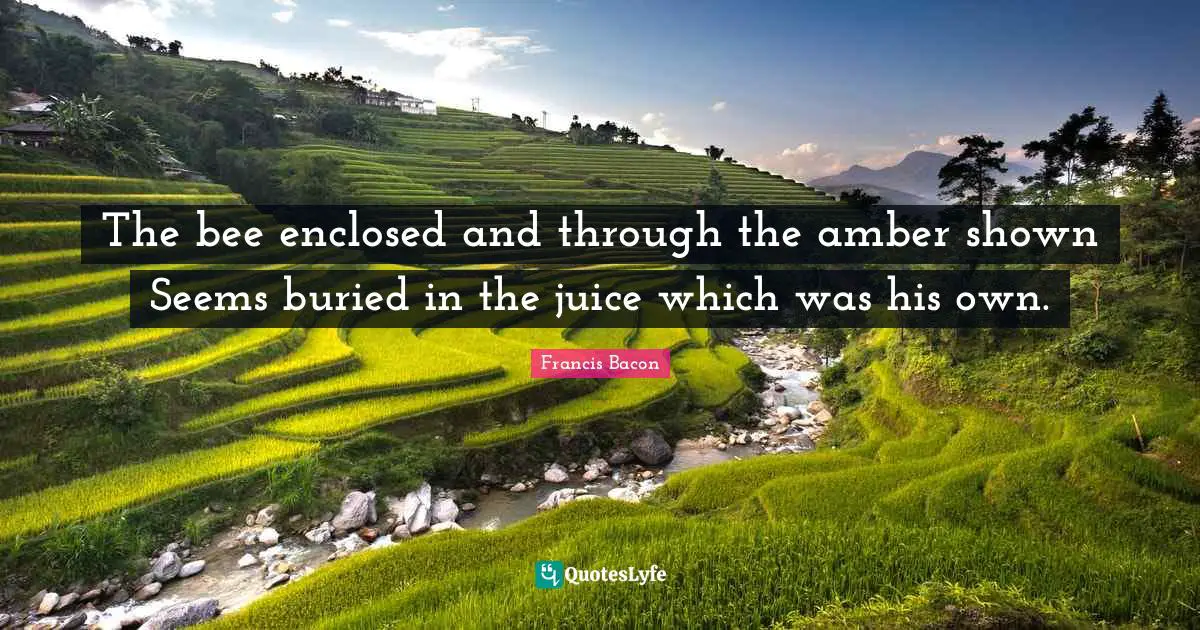 The bee enclosed and through the amber shown Seems buried in the juice which was his own.