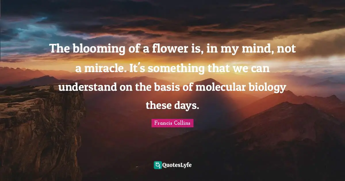 The blooming of a flower is, in my mind, not a miracle. It's something that we can understand on the basis of molecular biology these days.