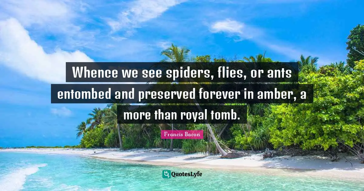 Whence we see spiders, flies, or ants entombed and preserved forever in amber, a more than royal tomb.