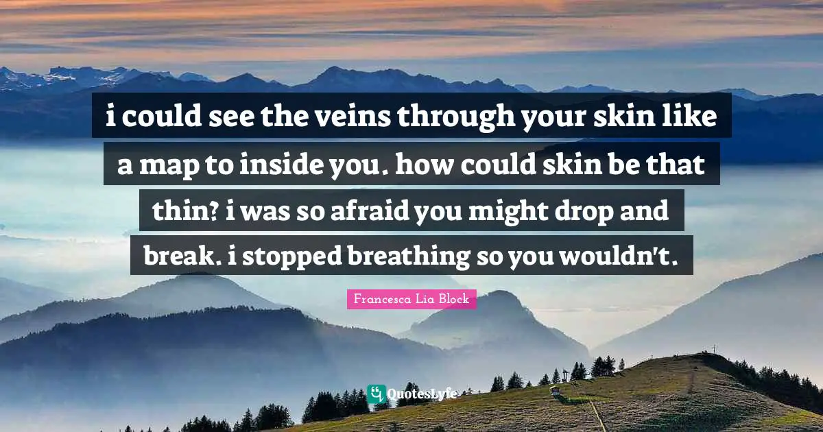 Francesca Lia Block Quotes: "i could see the veins through your skin like a map to inside you. how could skin be that thin? i was so afraid you might drop and break. i stopped breathing so you wouldn't."