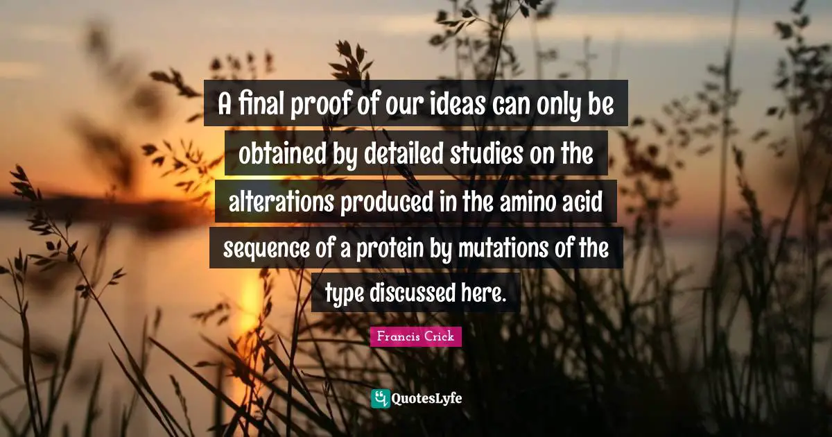 A final proof of our ideas can only be obtained by detailed studies on the alterations produced in the amino acid sequence of a protein by mutations of the type discussed here.