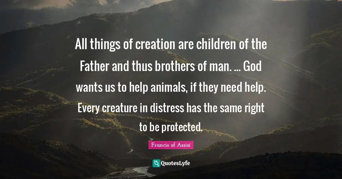 Father Quotes: "All things of creation are children of the Father and thus brothers of man. ... God wants us to help animals, if they need help. Every creature in distress has the same right to be protected."
