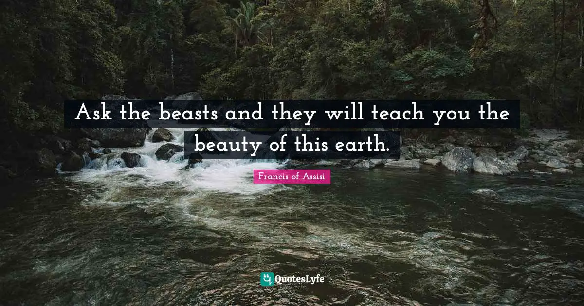 Beauty Quotes: "Ask the beasts and they will teach you the beauty of this earth."