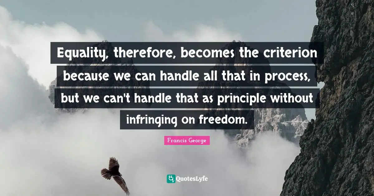 Equality, therefore, becomes the criterion because we can handle all that in process, but we can't handle that as principle without infringing on freedom.