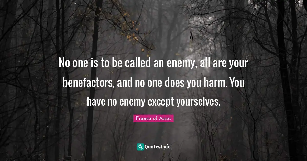 Francis Of Assisi Quotes: "No one is to be called an enemy, all are your benefactors, and no one does you harm. You have no enemy except yourselves."