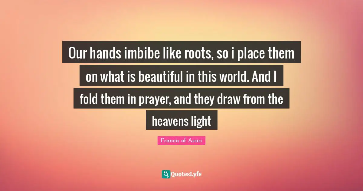 Francis Of Assisi Quotes: "Our hands imbibe like roots, so i place them on what is beautiful in this world. And I fold them in prayer, and they draw from the heavens light"