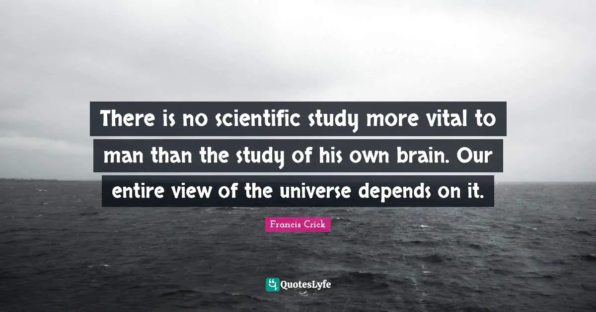 Brain Quotes: "There is no scientific study more vital to man than the study of his own brain. Our entire view of the universe depends on it."