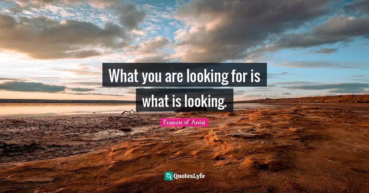 Wisdom Inspirational Quotes: "What you are looking for is what is looking."