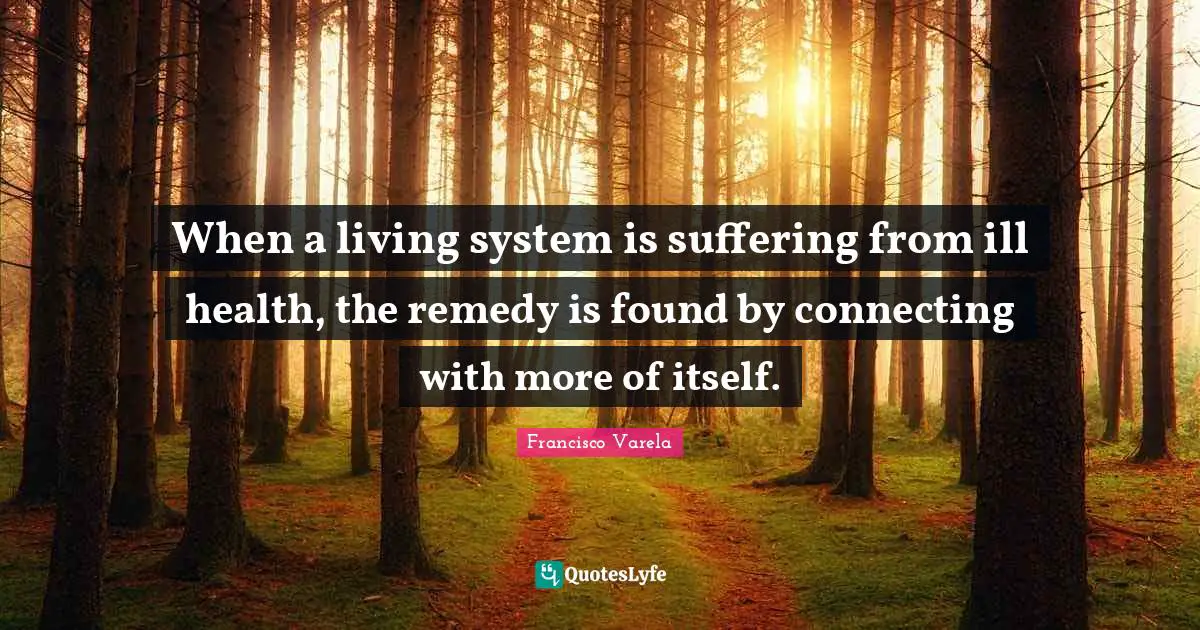 When a living system is suffering from ill health, the remedy is found by connecting with more of itself.