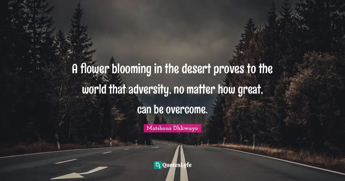 A flower blooming in the desert proves to the world that adversity, no matter how great, can be overcome.