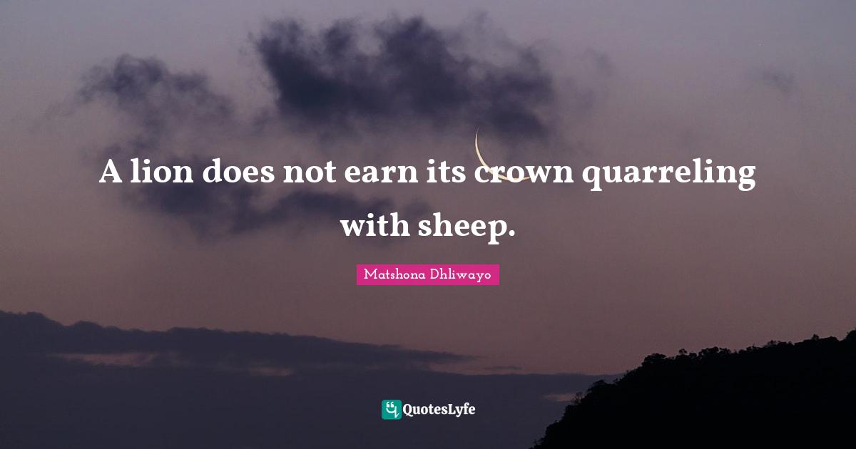 A lion does not earn its crown quarreling with sheep.