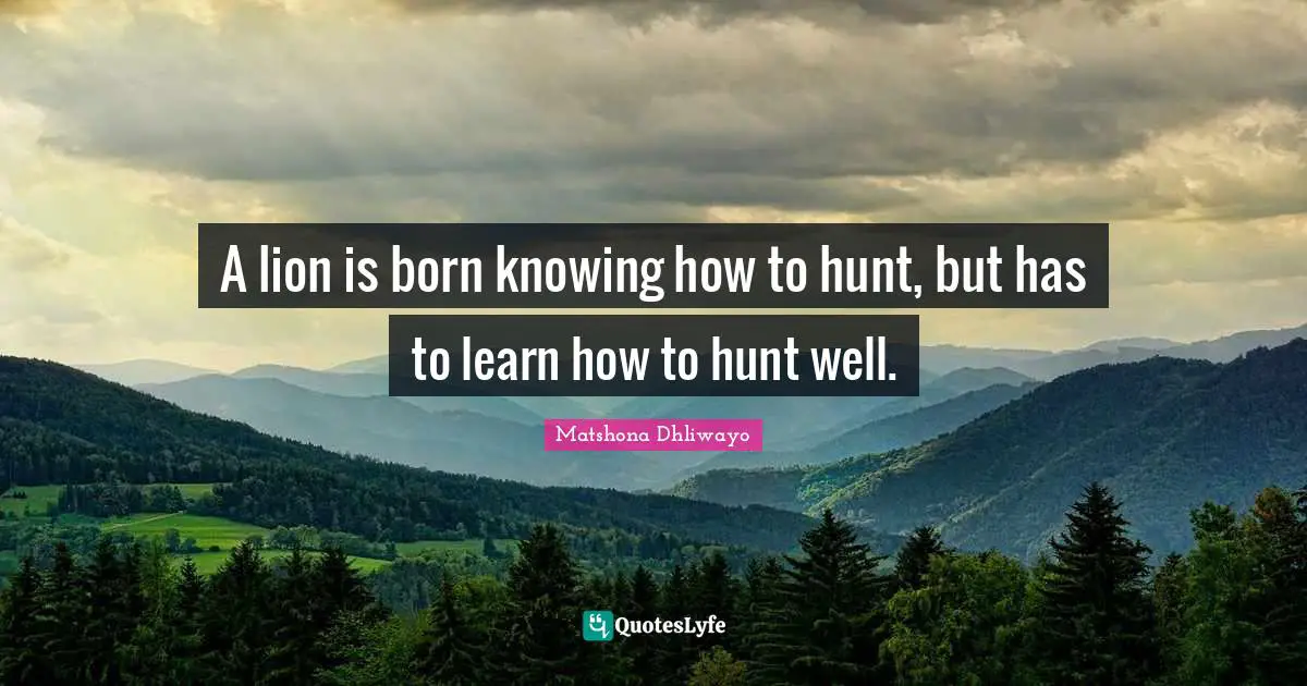 A lion is born knowing how to hunt, but has to learn how to hunt well.