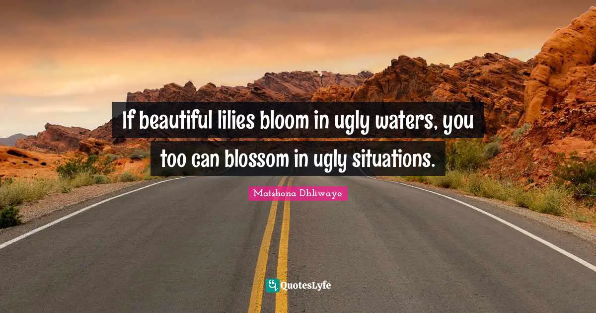 Matshona Dhliwayo Quotes: If beautiful lilies bloom in ugly waters, you too can blossom in ugly situations.