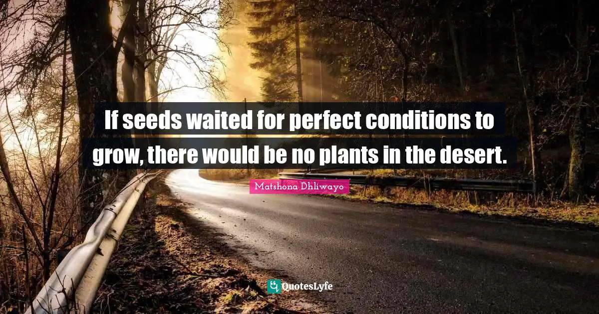 If seeds waited for perfect conditions to grow, there would be no plants in the desert.