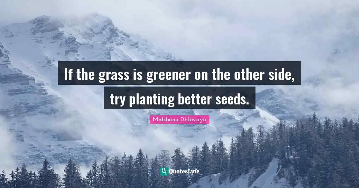 If the grass is greener on the other side, try planting better seeds.