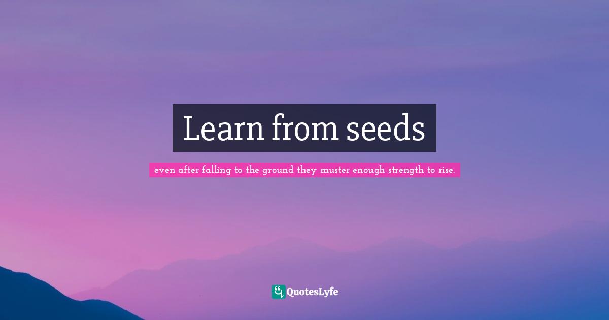 Learn from seeds