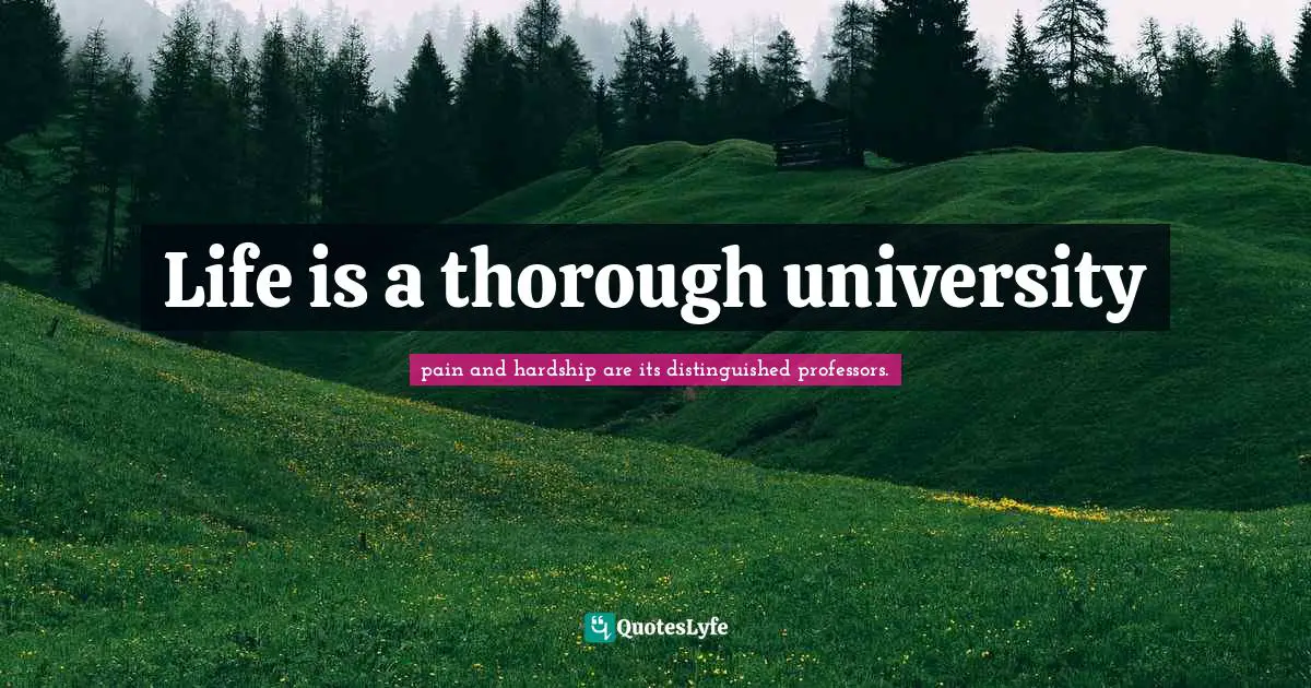 Life is a thorough university