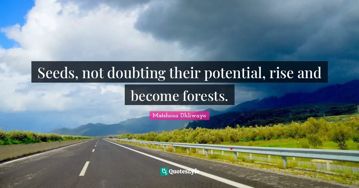 Matshona Dhliwayo Quotes: Seeds, not doubting their potential, rise and become forests.