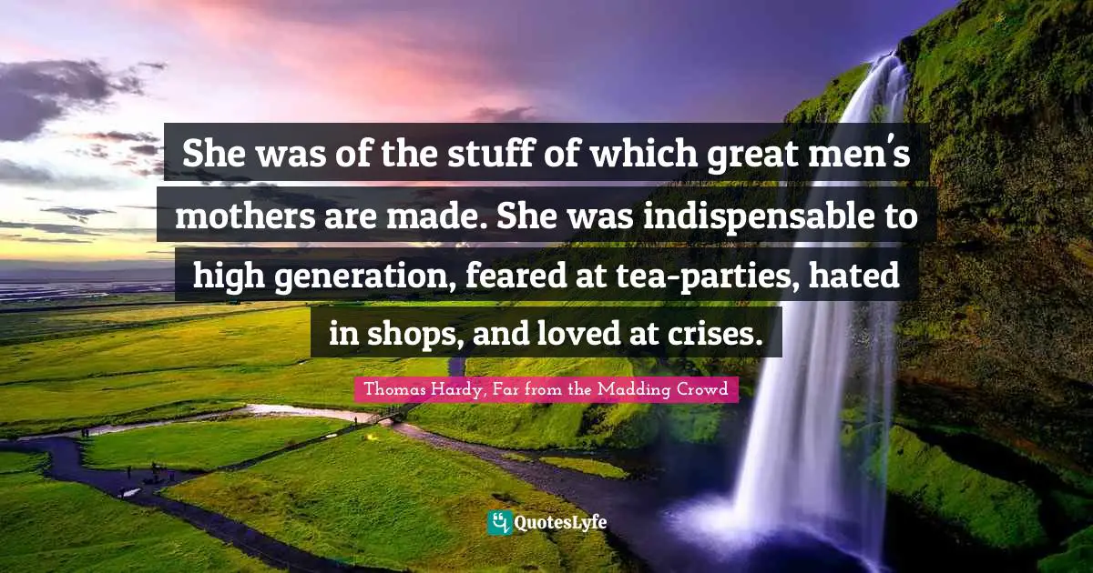 She was of the stuff of which great men's mothers are made. She was indispensable to high generation, feared at tea-parties, hated in shops, and loved at crises.
