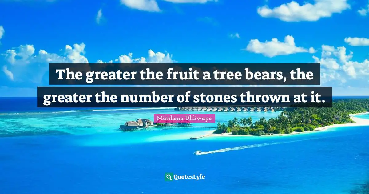 Motivational For Women Quotes: "The greater the fruit a tree bears, the greater the number of stones thrown at it."
