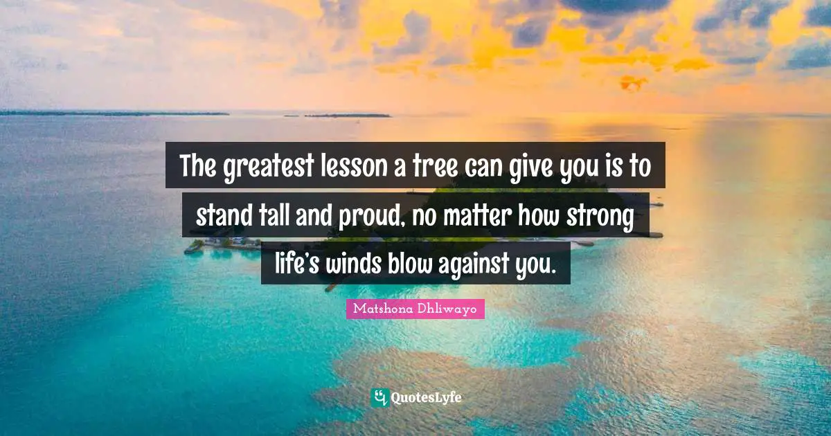 The greatest lesson a tree can give you is to stand tall and proud, no matter how strong life’s winds blow against you.