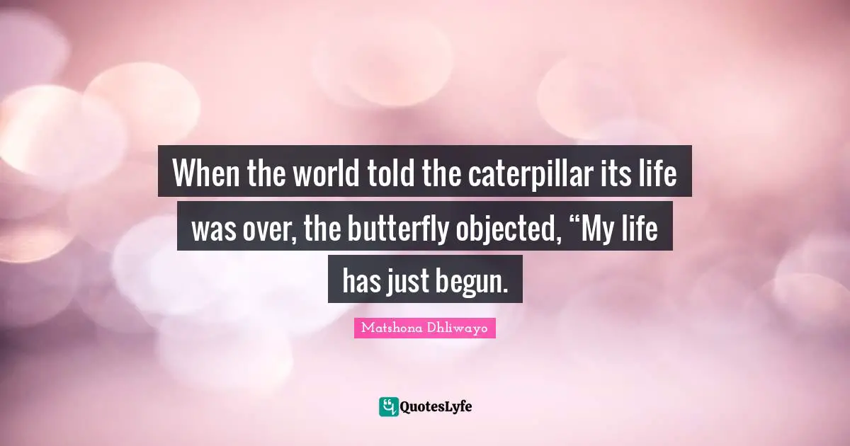 When the world told the caterpillar its life was over, the butterfly objected, “My life has just begun.