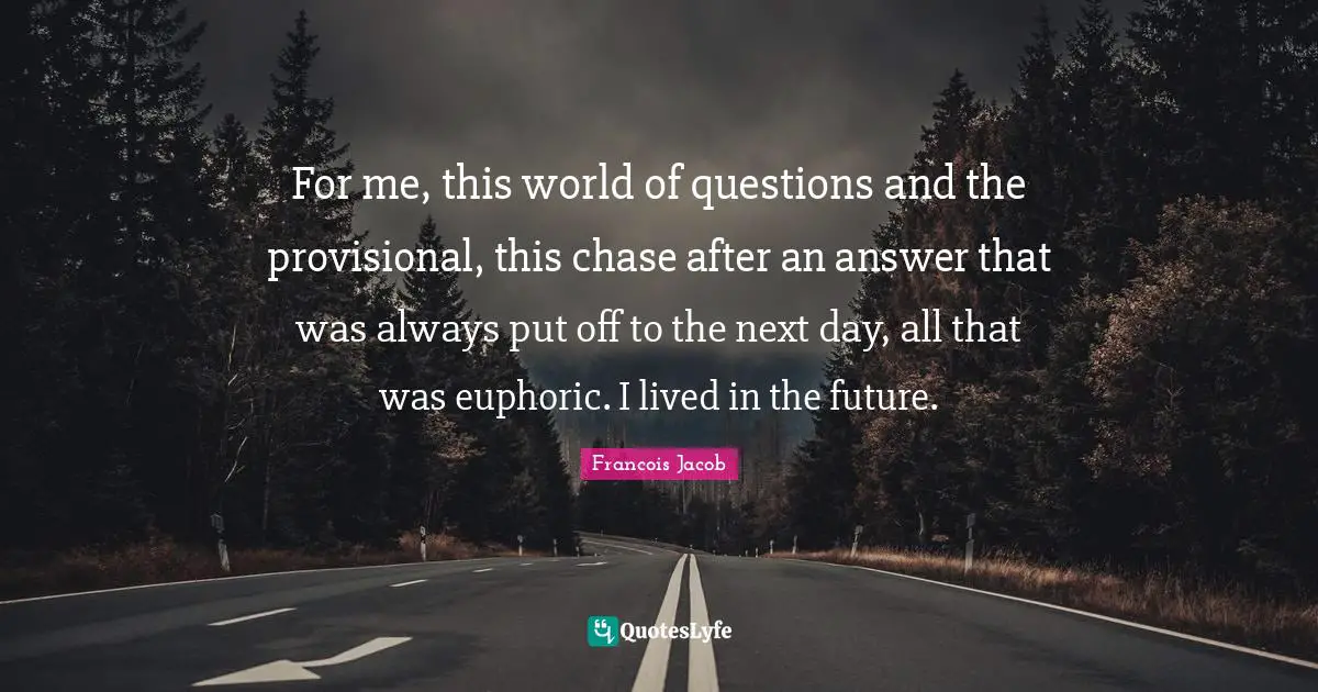 For me, this world of questions and the provisional, this chase after an answer that was always put off to the next day, all that was euphoric. I lived in the future.