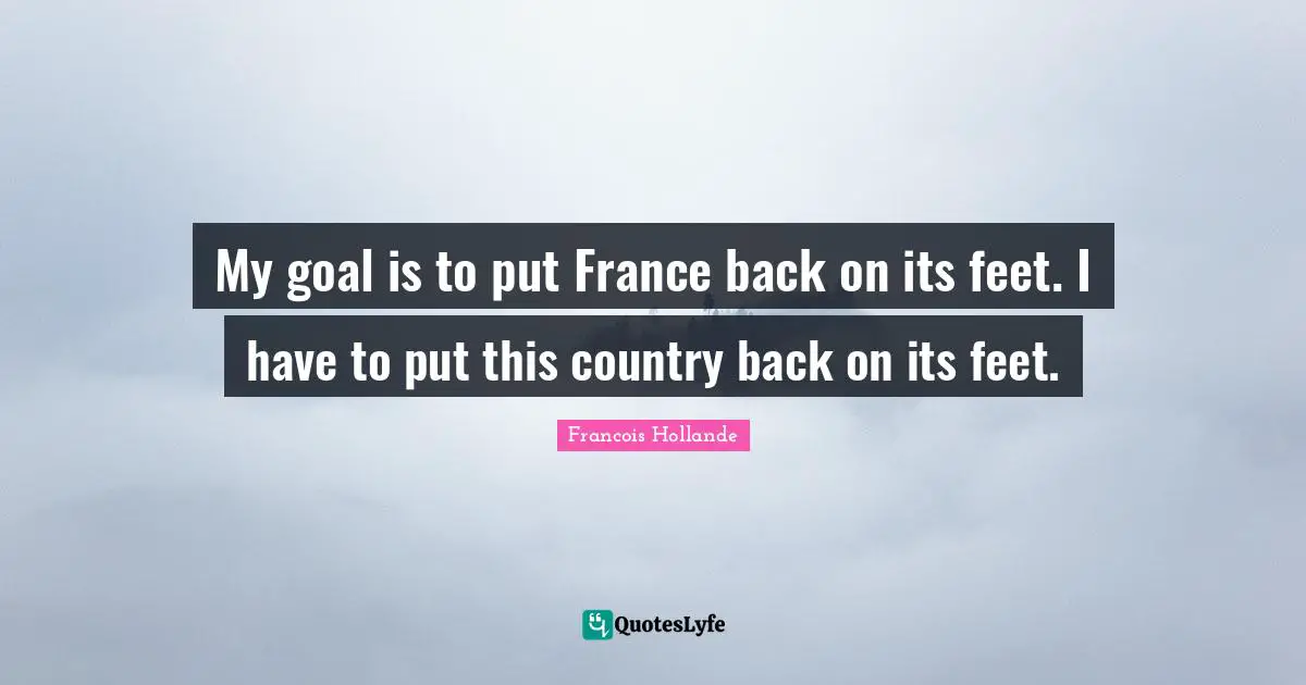 My goal is to put France back on its feet. I have to put this country back on its feet.