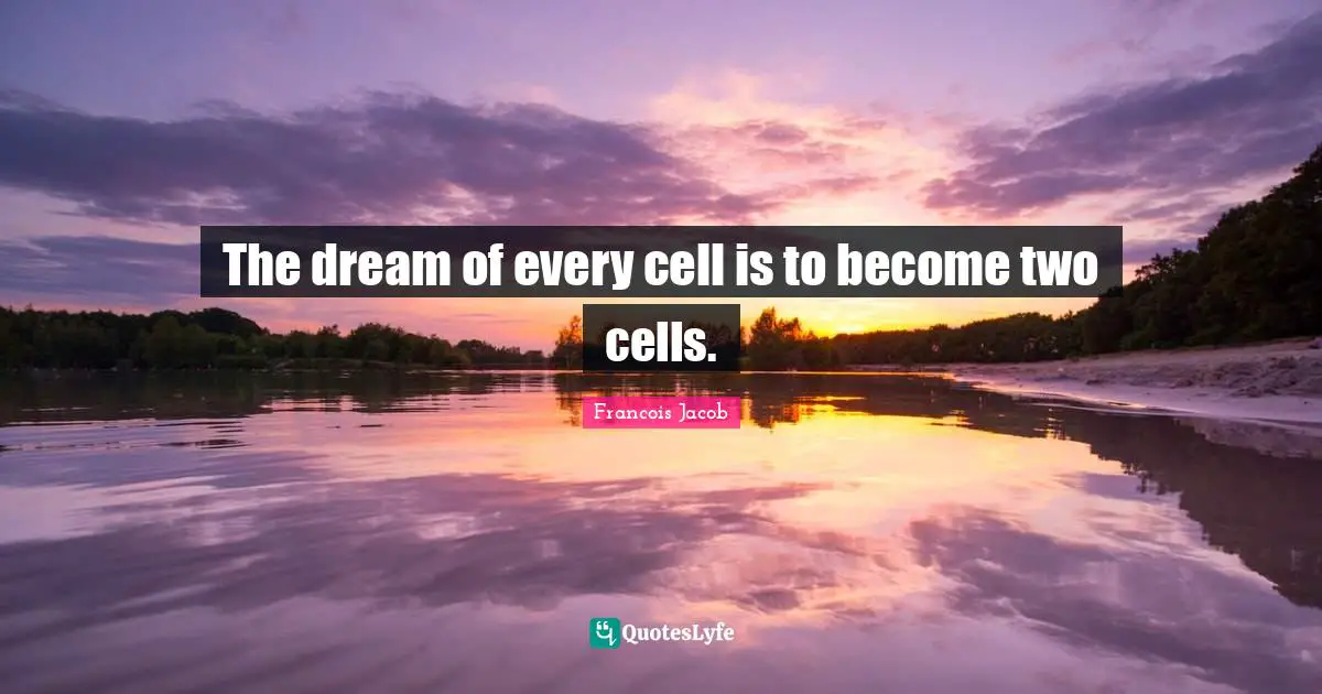 Francois Jacob Quotes: "The dream of every cell is to become two cells."