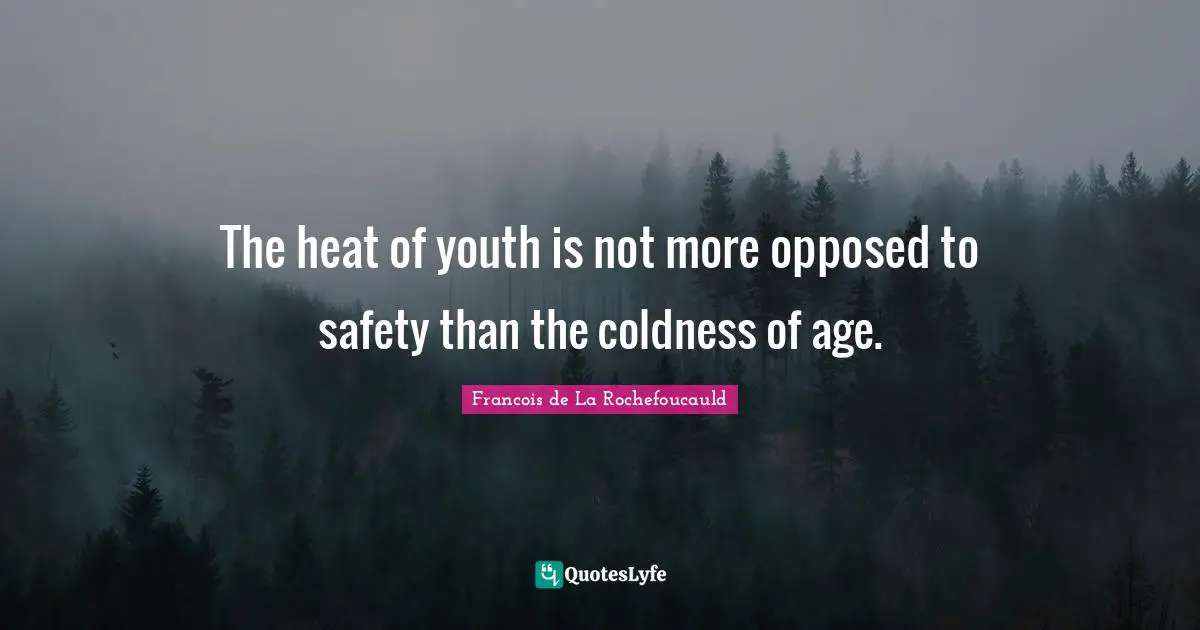 The heat of youth is not more opposed to safety than the coldness of age.