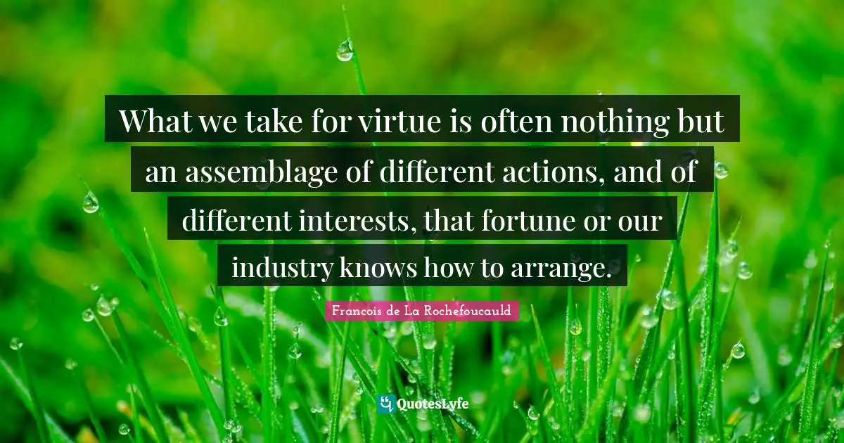 What we take for virtue is often nothing but an assemblage of different actions, and of different interests, that fortune or our industry knows how to arrange.