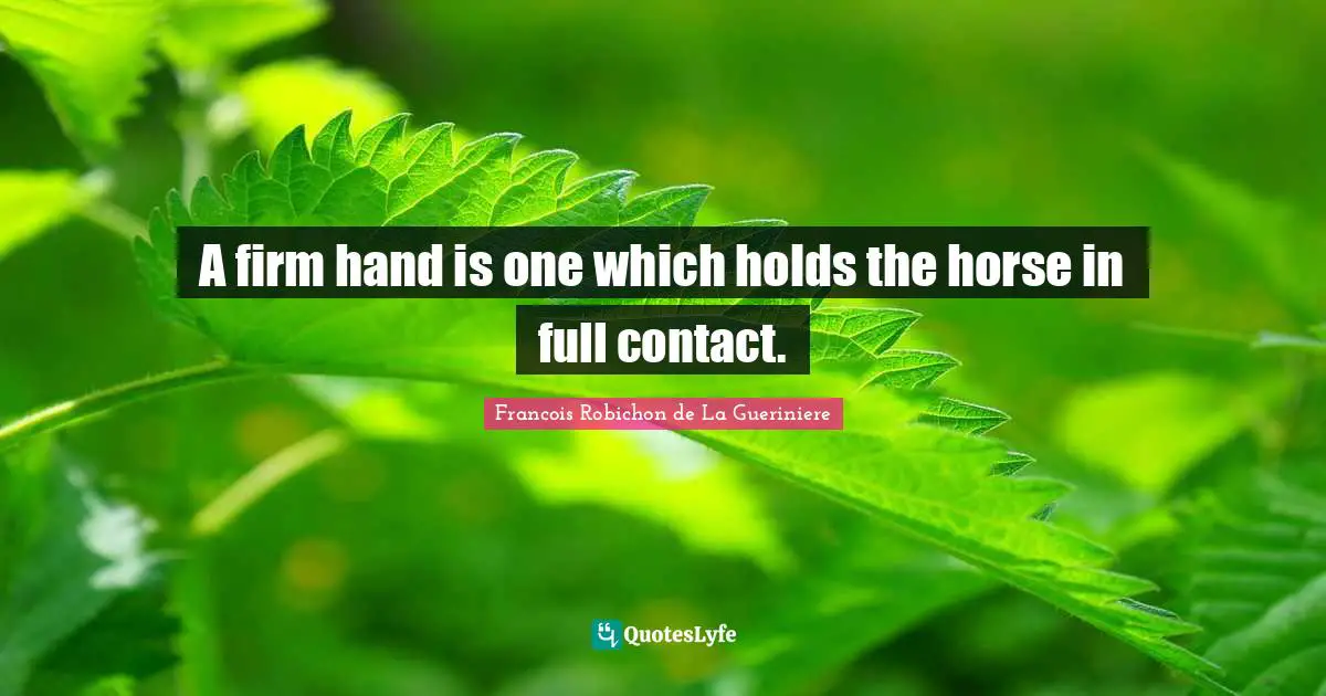 A firm hand is one which holds the horse in full contact.