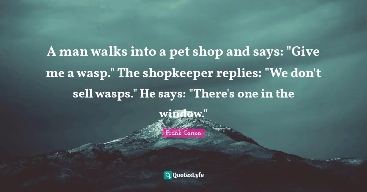 A man walks into a pet shop and says: "Give me a wasp." The shopkeeper replies: "We don't sell wasps." He says: "There's one in the window."