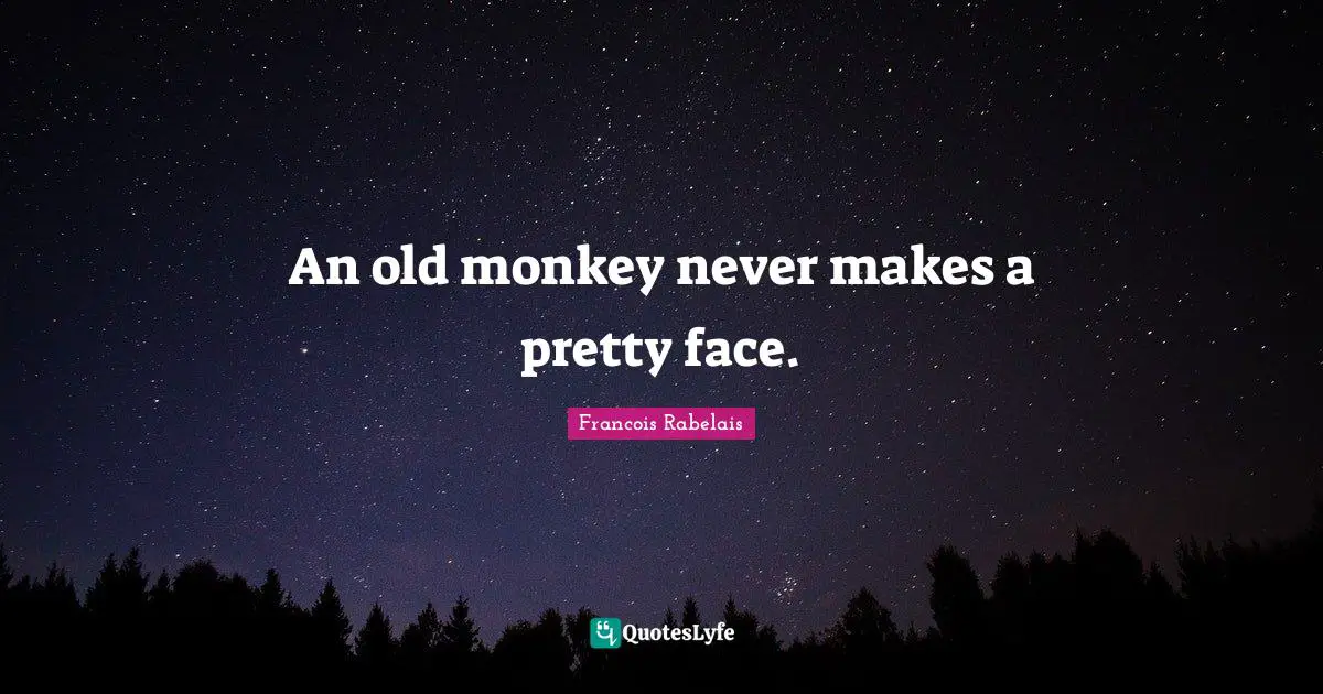 An old monkey never makes a pretty face.